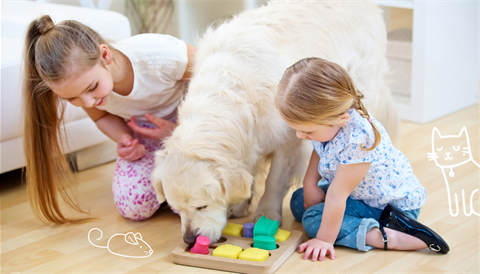 Playthings-for-pets.png