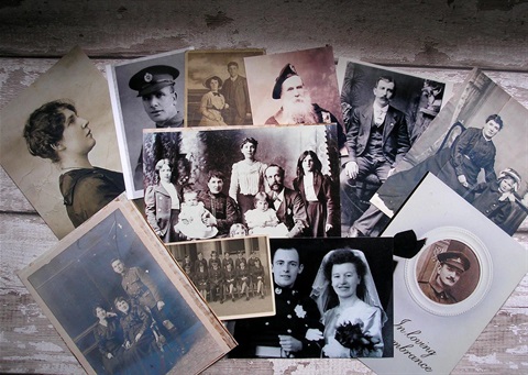 Genealogy stock image