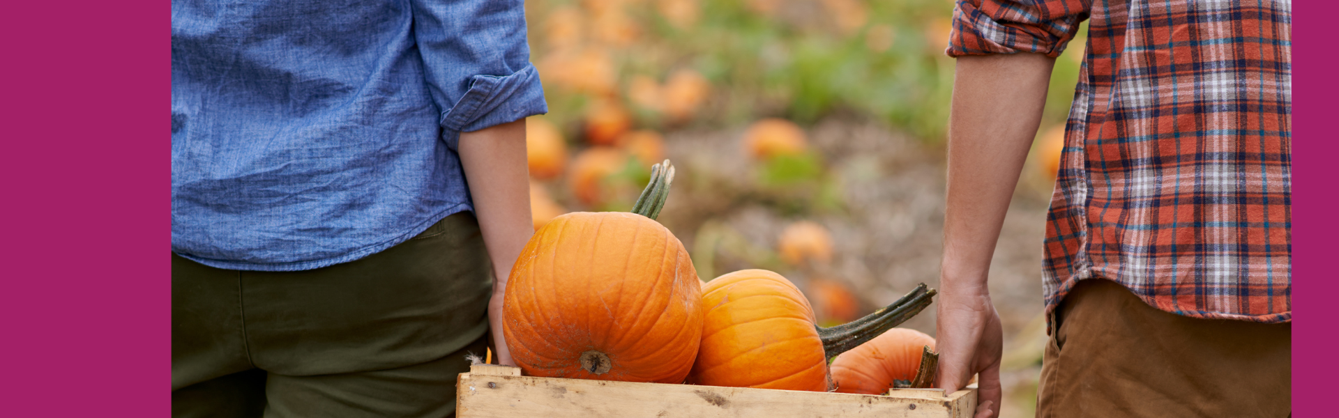 2025-10-Seed-Bank-Growing-Pumpkins_v2.png