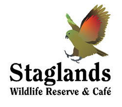 Staglands-Logo.png